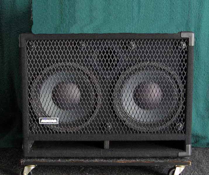 Eden WT-550 / Avatar 210 Neo Cab&nbsp;